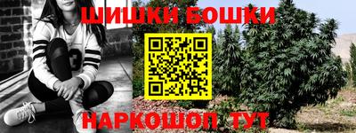 шишки Новозыбков