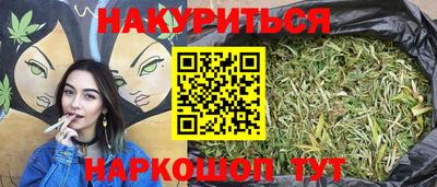шишки Новозыбков