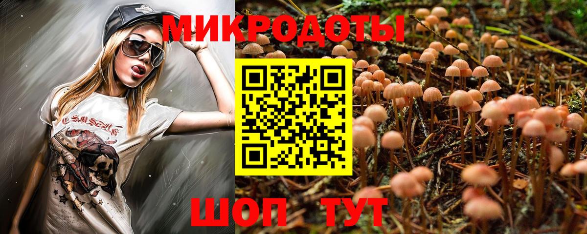 Галлюциногенные грибы Psilocybe Советская Гавань